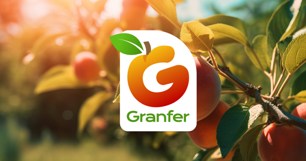Granfer Branding 1