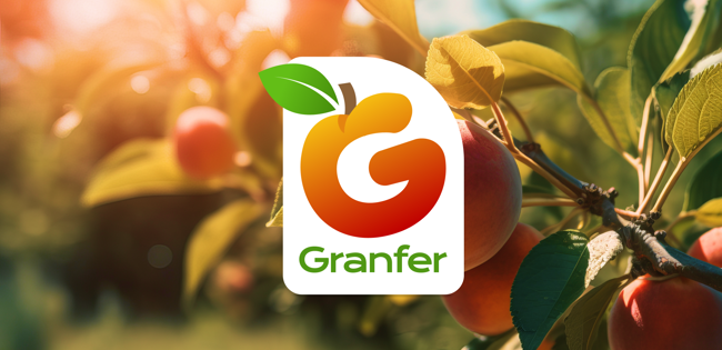 Granfer Branding 1