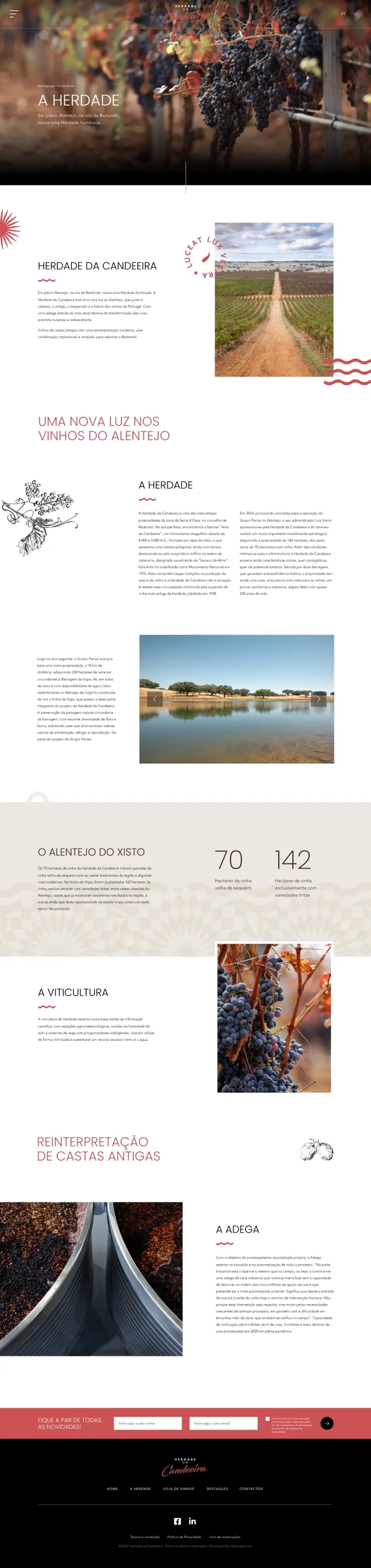 Herdade Da Candeeira Web 3